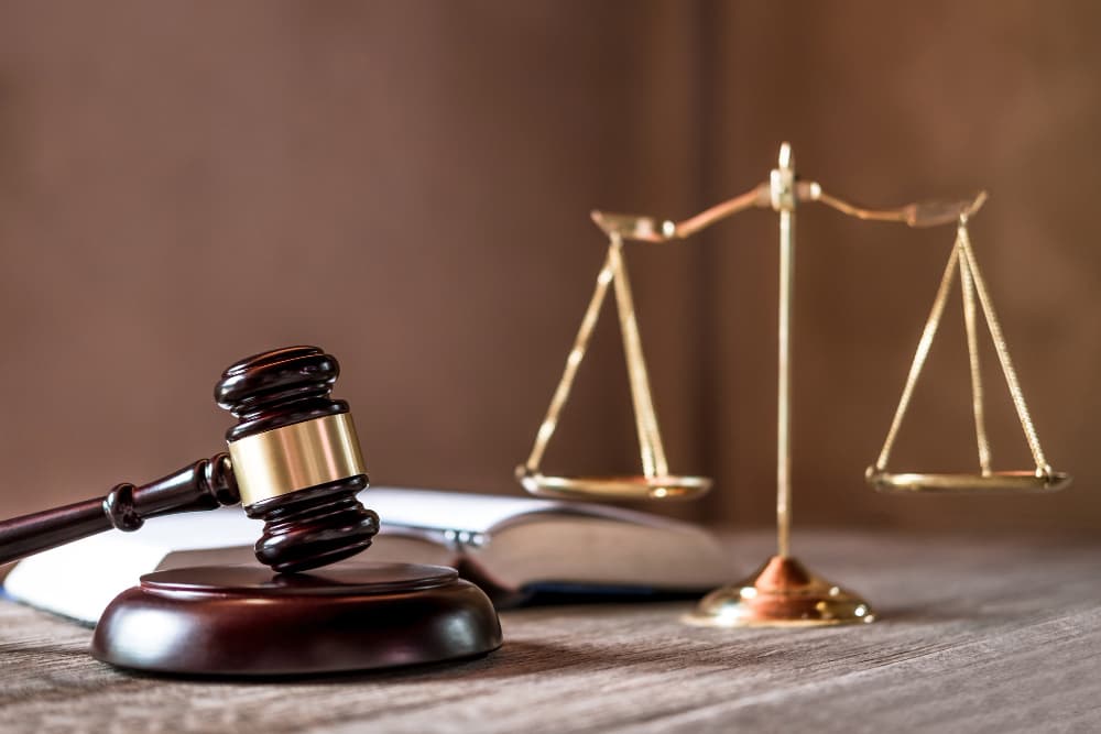 Sección Primera: Fallos de la Suprema Corte de Justicia de la Provincia
